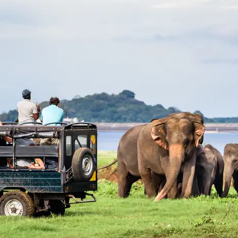 Yala National Park